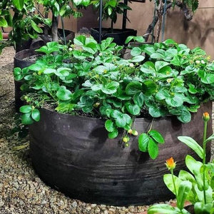 Garden Planting Bed(🎉Sales on Promotion - 60% OFF)