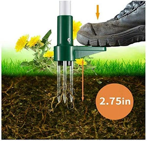 Standing Plant Root Remover