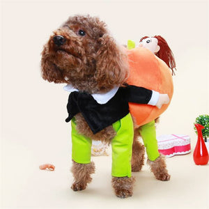 Dog Pumpkin Halloween Costume(🎁Early Halloween Promotion-30% OFF🎃)