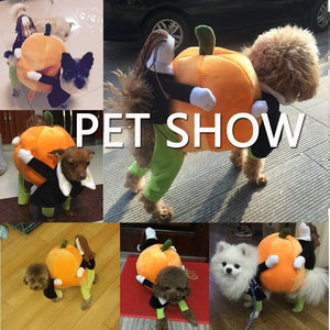 Dog Pumpkin Halloween Costume(🎁Early Halloween Promotion-30% OFF🎃)