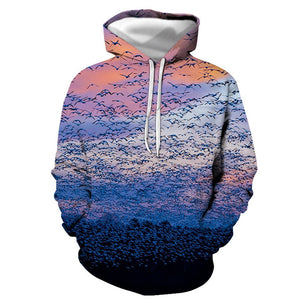 3D Graphic Printed Hoodies Birds